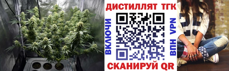 Купить  Советский  Дистиллят ТГК THC oil 