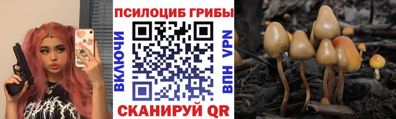 Галлюциногенные грибы прущие грибы Купить закладки Советский